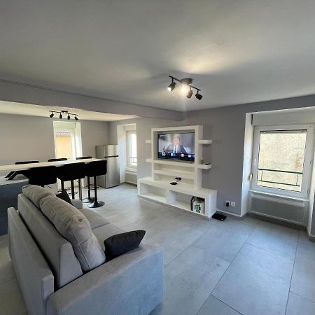 Appartement Familiale Premium : Proche Gare De ベルフォール エクステリア 写真