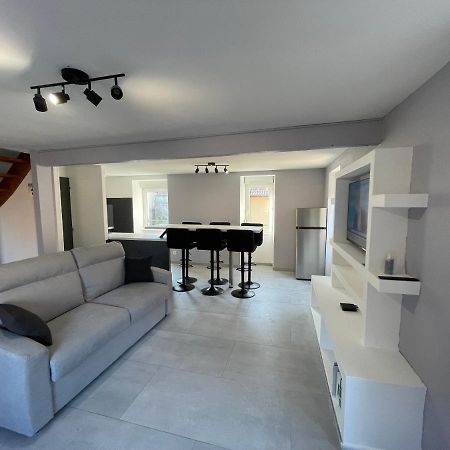 Appartement Familiale Premium : Proche Gare De ベルフォール エクステリア 写真