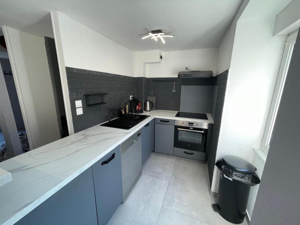 Appartement Familiale Premium : Proche Gare De ベルフォール エクステリア 写真