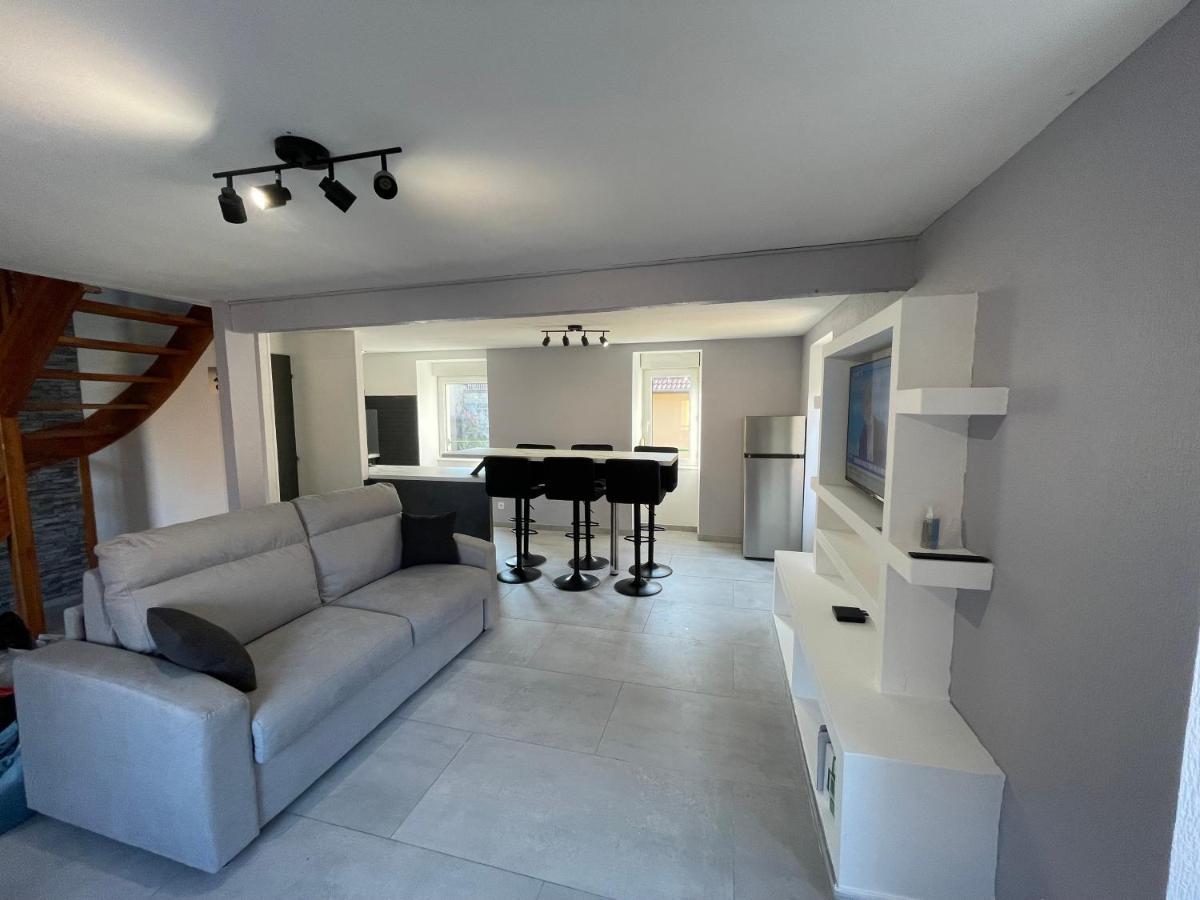 Appartement Familiale Premium : Proche Gare De ベルフォール エクステリア 写真
